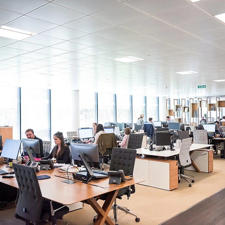 Accrobranche la grande motte : une aventure B2B inoubliable