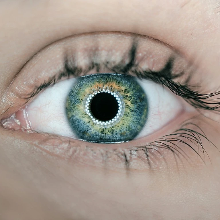 L'impact des salons pour les blogueurs de voyage dans l'industrie B2B