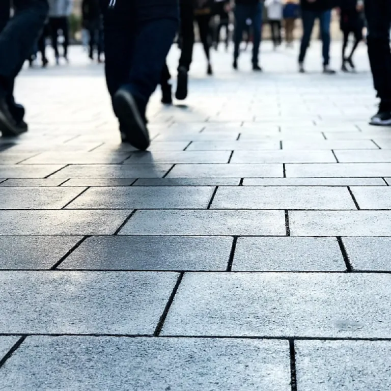 Zone-business fr : comprendre les enjeux pour les professionnels de l’événementiel B2B